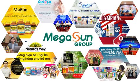 mega sun group|Về Megasun Group.